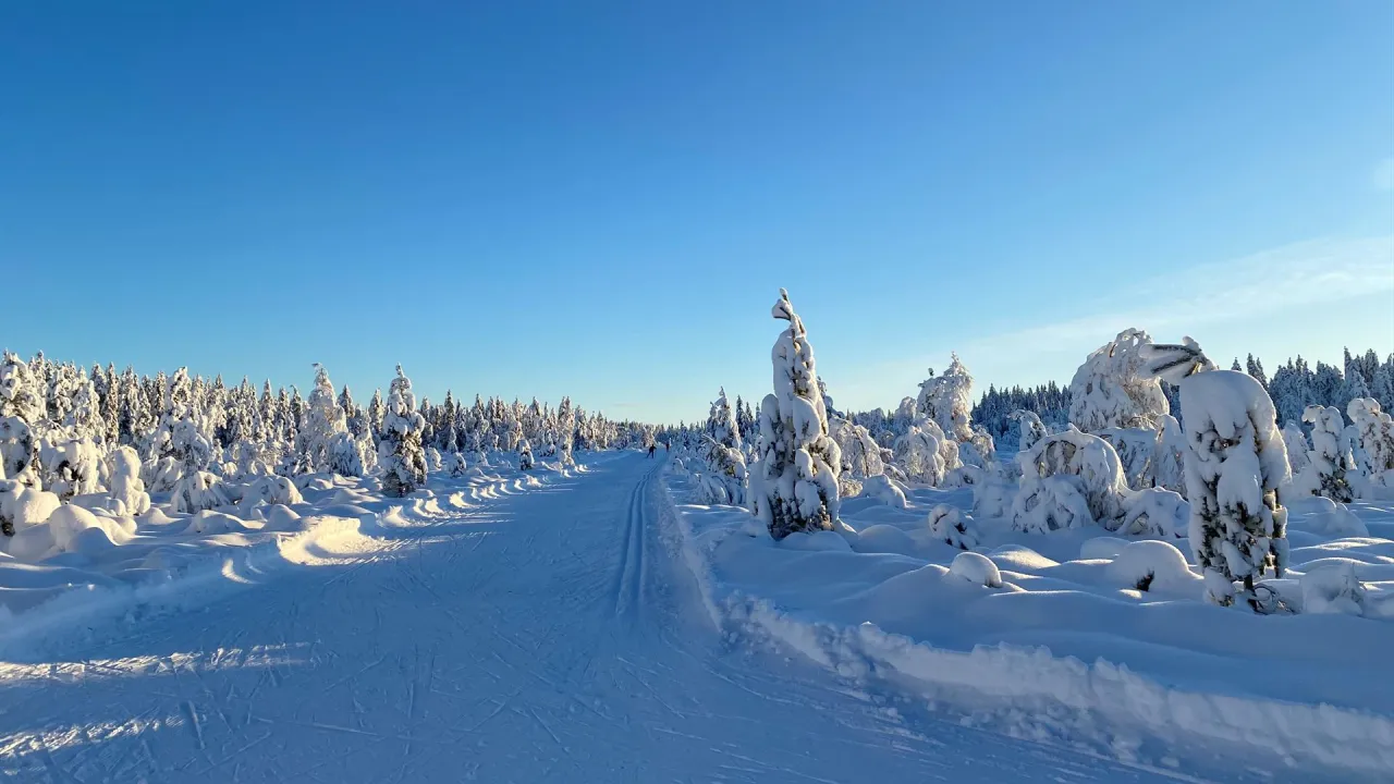 Vinter på Øverby station