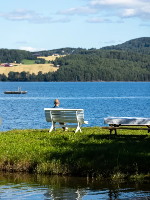 Utsikt ved vannkanten